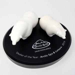 Arctic Spas Corporate Store Sales Award for Arctic Spa & Leisure