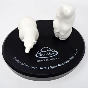 European Service Award for Arctic Spas Massasjebad